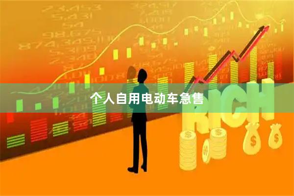 个人自用电动车急售
