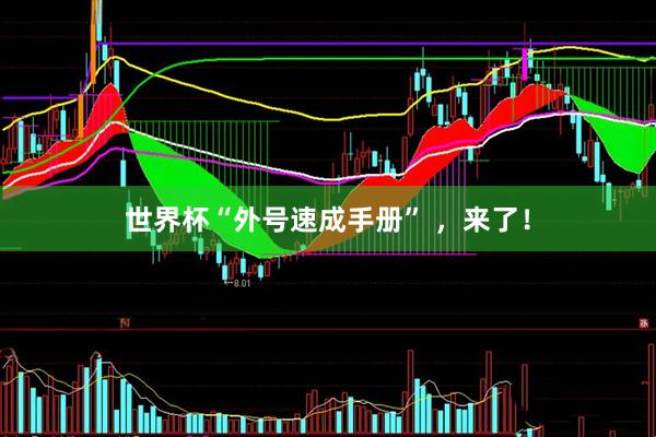 世界杯“外号速成手册” ,来了!